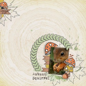 Squirrel