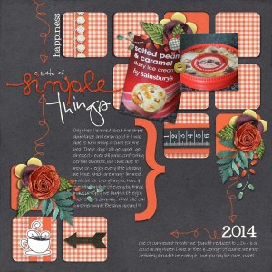 2014: Happiness {is made of Simple Things}