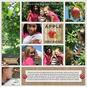 apple picking