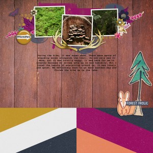 Forest Frolic