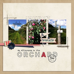 In the Orchard