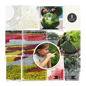 flower & garden R