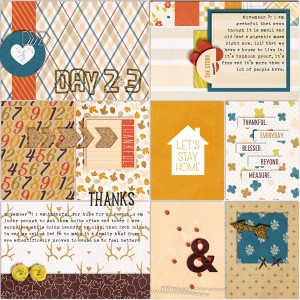 November 2013 Daily Thankful Album Page 2, Days 2 and 3