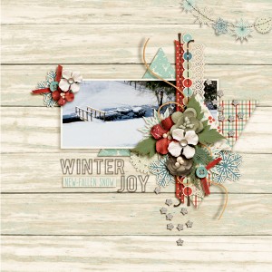 Winter Joy