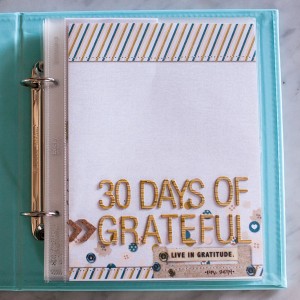 grateful project 2014 - cover page