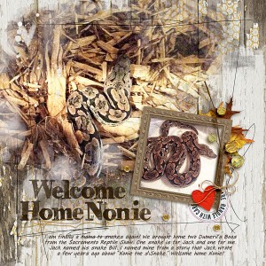 Welcome Home Nonie