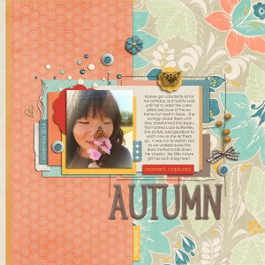 Autumn Butterflies