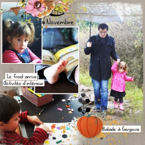 Project Life - november