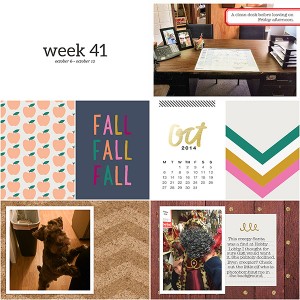 Week 41