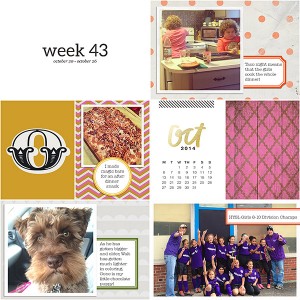 Week 43