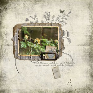 So My Garden - Nov. Product Challenge