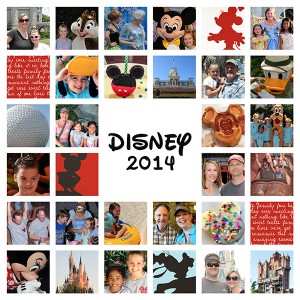 Disney 2014