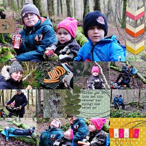 In the woods