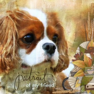 My Friend