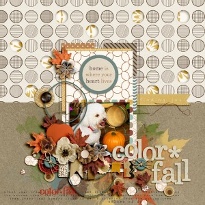 Color*Fall