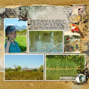 Bird sanctuary