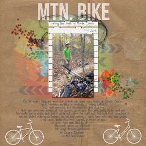 mtn. bike