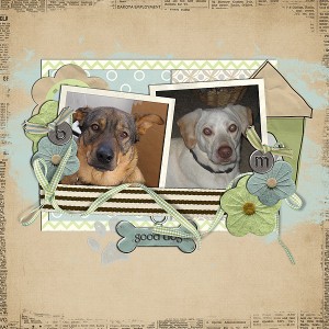 Good dogs