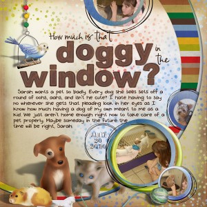 How Much is That Doggy in the Window?