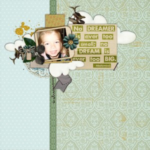 No Dreamer...