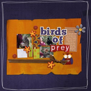 Birds Of Prey