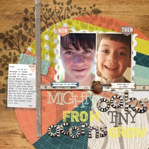 mighty oaks from tiny acorns grow