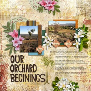 Our Orchard Beginnings