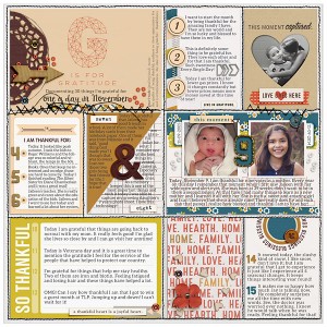 2014 November 30 Days of Gratitude days 1 to 15