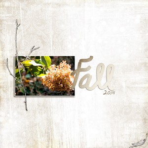fall
