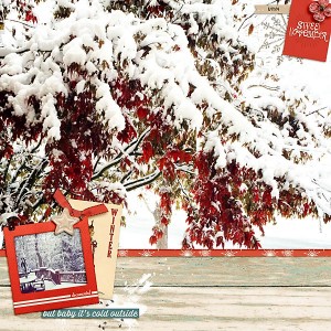 Sweet November Snow
