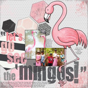 "let's go see the 'mingos!"