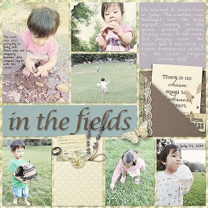 In The Fields