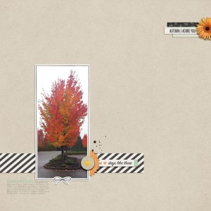 Hello Autumn