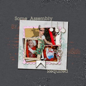 Some Assembly Required
