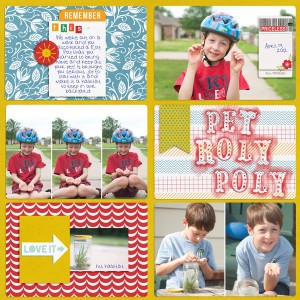Pet Roly Poly