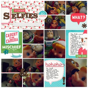 s[elf]ies