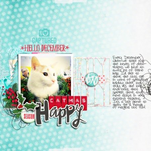 Happy Catmas