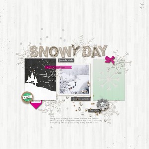 Snowy Day
