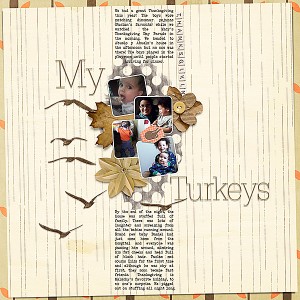 My Turkeys