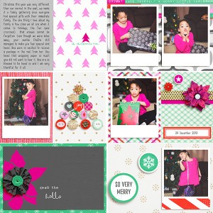2013-Special Gift
