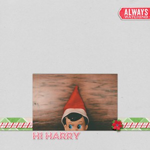 hi Harry