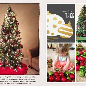 Holiday Memories 2014 Spread 5