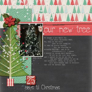 our new tree