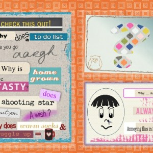 for the pocket scrap challenge