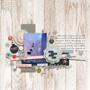 onelittlebird-TSAM