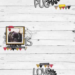 Pug is Love