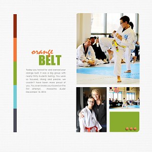 Orange-Belt