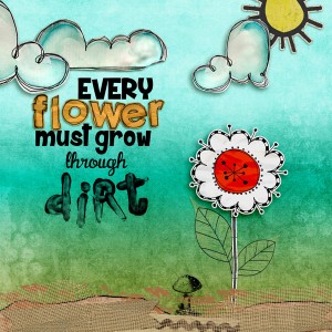 Every Flower...12 Days of AJ #7