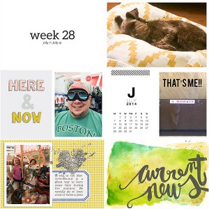 Week 28