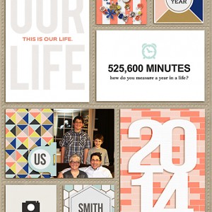 cover page 2014